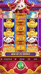 อินเทอร์เฟซและการควบคุมใน Fortune Rabbit